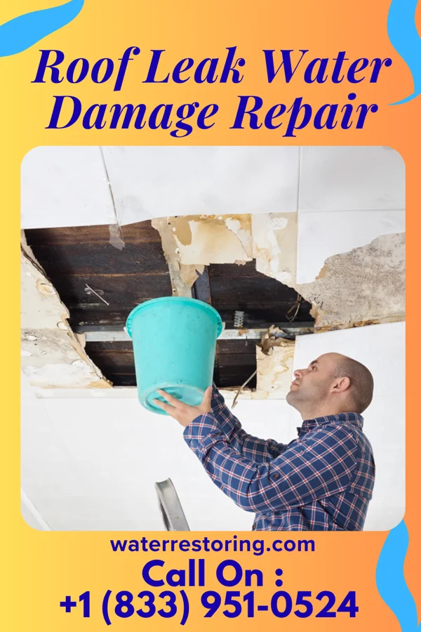 Roof Leak Water Damage Repair in Southwest Greensburg, PA