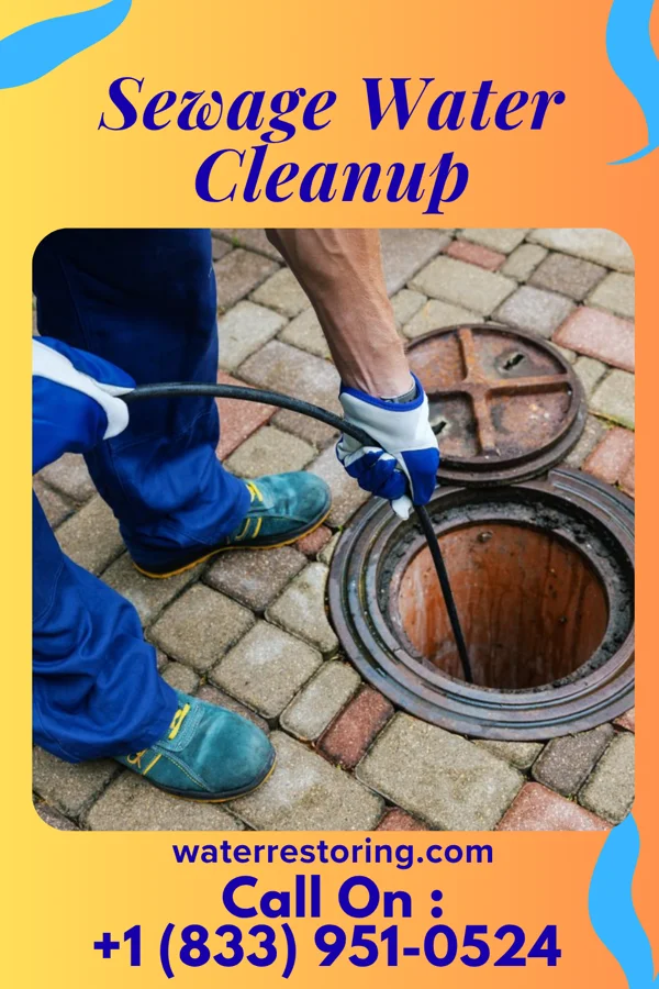Sewage Water Cleanup in Southwest Greensburg, PA