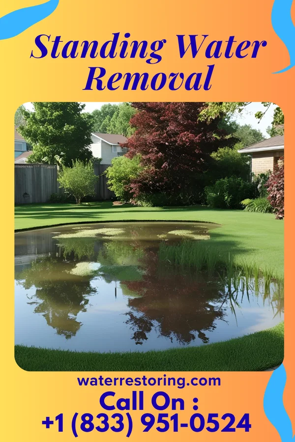 Standing Water Removal in Southwest Greensburg, PA